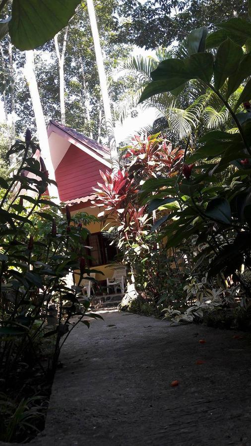 Khao Sok Holiday Resort Khao Sok National Park Exterior photo